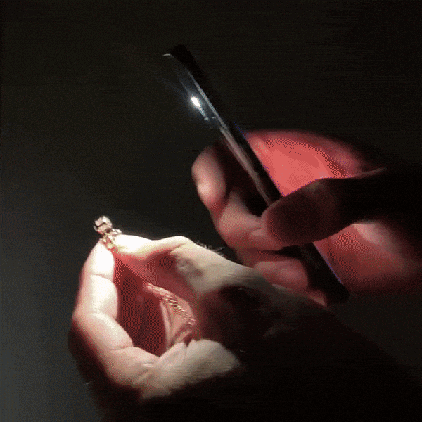 Personalized Heart Photo Necklace – Crystal Projection Edition