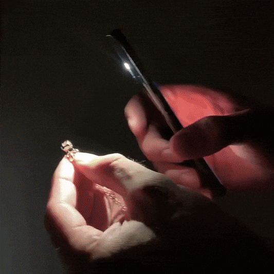 Personalized Heart Photo Necklace – Crystal Projection Edition